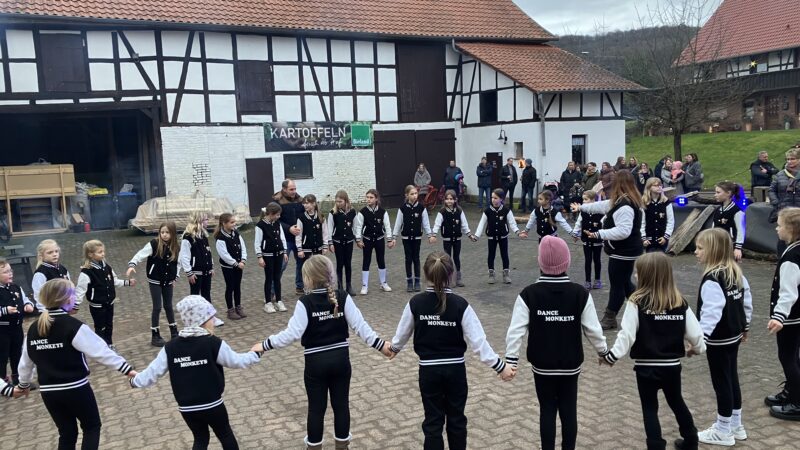 ‚Dance Monkeys‘ im Fernsehen