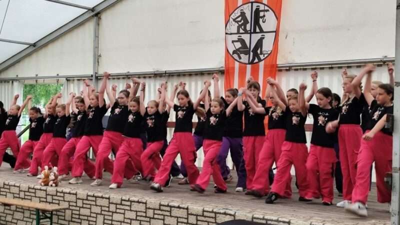 ‚Dance Monkeys‘ im Einsatz